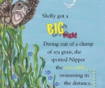 Sea Turtle Kids Book, Australian Ocean Life Kids Story Picture Book -Shelly the Sea Turtle