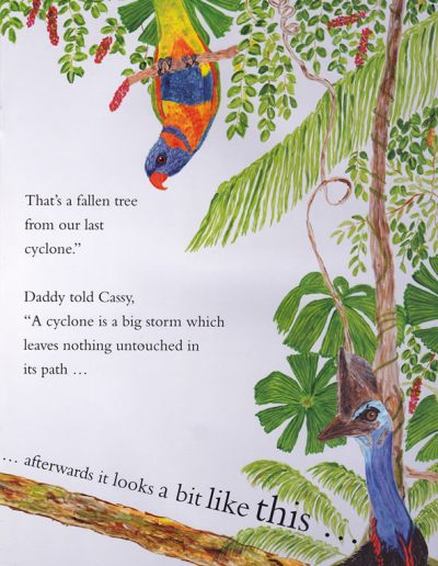 Cassowary Children's Story Book - Cassy's Tale