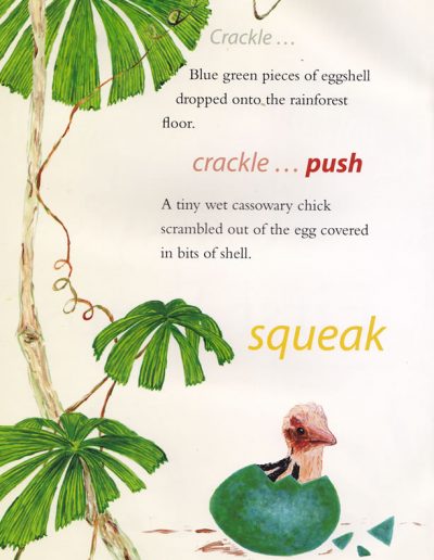 Cassowary Children's Story Book - Cassy's Tale