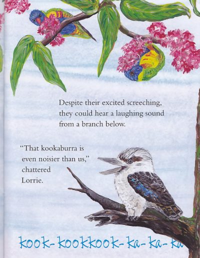 Australian kookaburra kids book bird Who is Laughing?