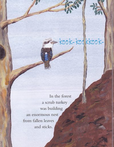 Australian kookaburra kids book bird Who is Laughing?