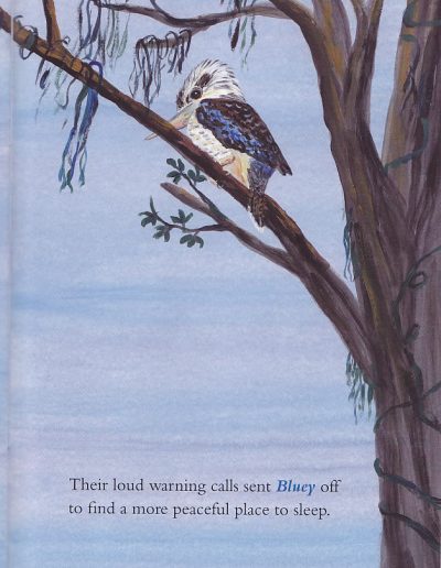 Australian Kookaburra Kids Book | Who is Laughing?