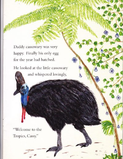 Cassowary Children's Story Book - Cassy's Tale