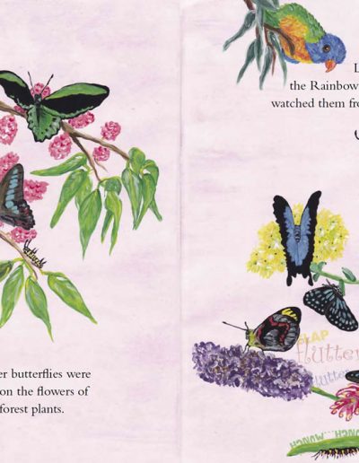 Butterfly Children's Story Book | Lyssie the Butterfly | Ulysses Butterfly Kids Book