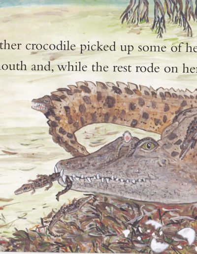 Crocodile Children's Story Book - Nipper the Crocodile