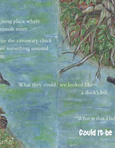 Platypus Children's Story Book - Paddles the Platypus