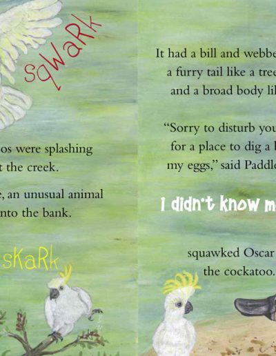 Platypus Children's Story Book - Paddles the Platypus
