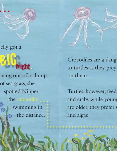 Sea Turtle kids book - Shelly the Sea Turtle