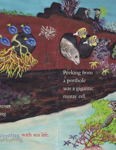 Sea Turtle kid's book - Shelly the Sea Turtle