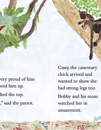 Tree Kangaroo Kids Book - Bobby the Tree Kangaroo