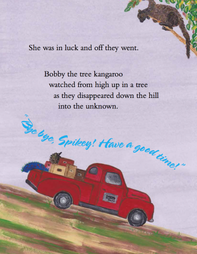 Echidna Children's Picture Story - Spikey's Day Out