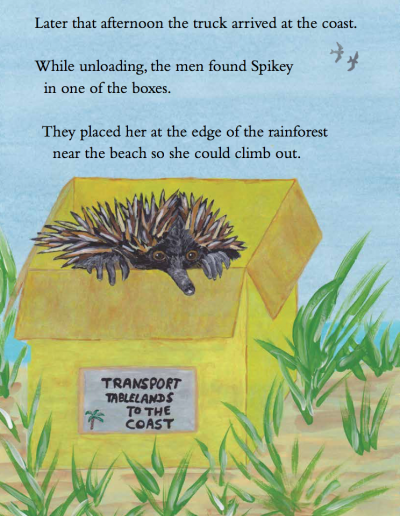 Echidna Children's Picture Story - Spikey's Day Out