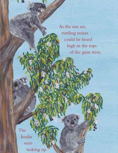 Koala Wildlife Kids Book | Fuzzy the Koala
