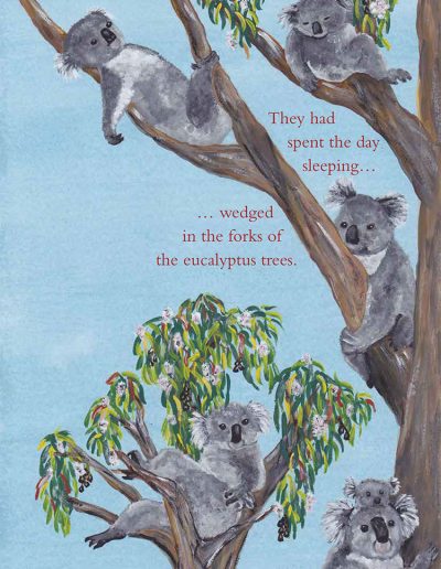 Koala Wildlife Kids Book | Fuzzy the Koala
