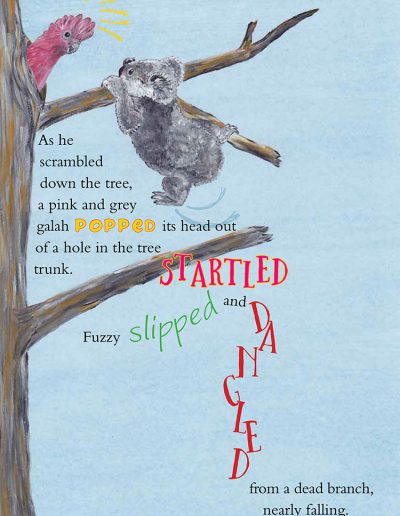 Koala Wildlife Kids Book | Fuzzy the Koala