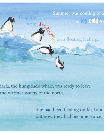 Whale Kid's Story Book