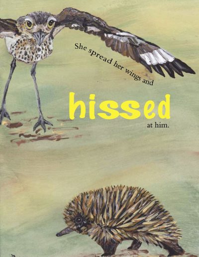 Curlew Kids' story book