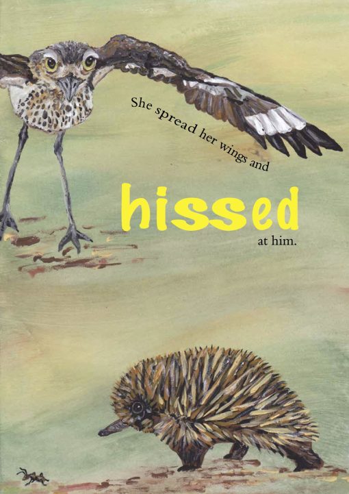 Curlew Kids' story book