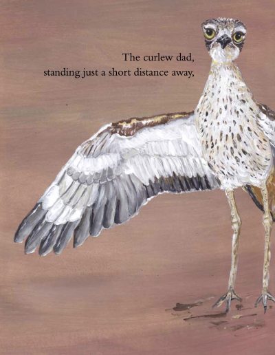 Curlew Kids' story book