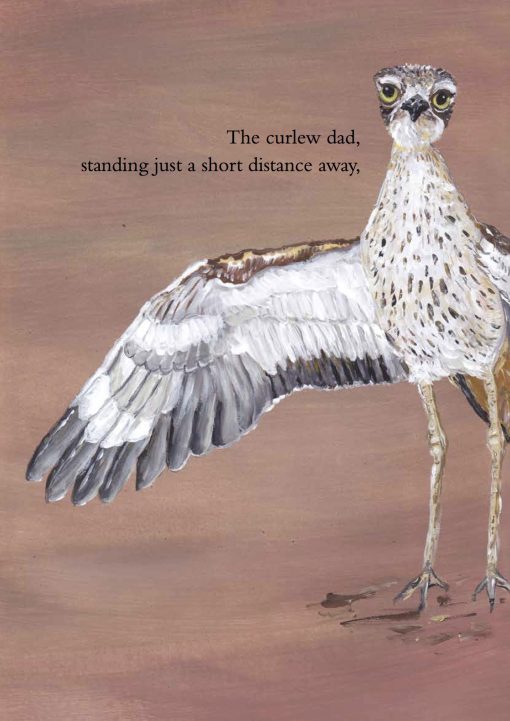 Curlew Kids' story book