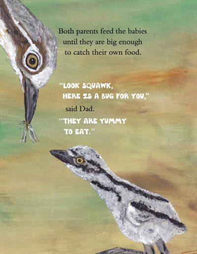 Curlew Kids' story book
