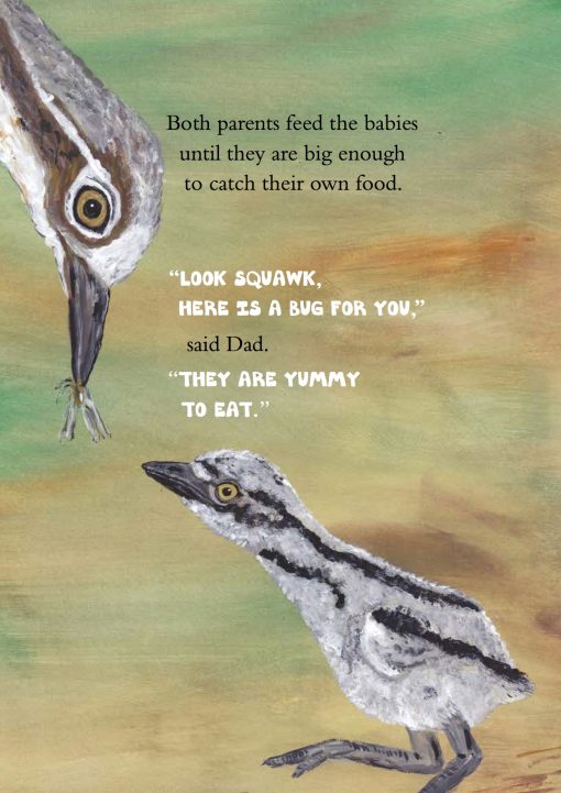 Curlew Kids' story book