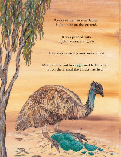 Emu Kid's story book