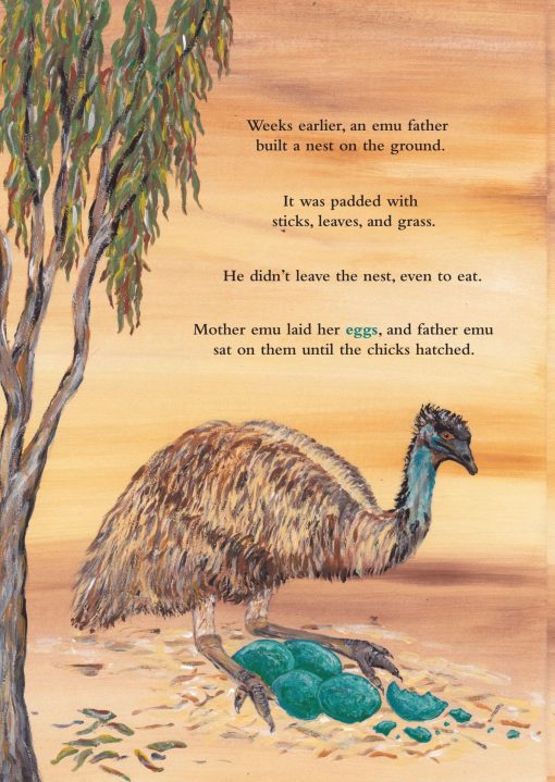 Emu Kid's story book