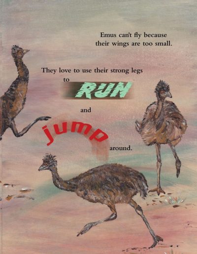 Emu Kid's story book